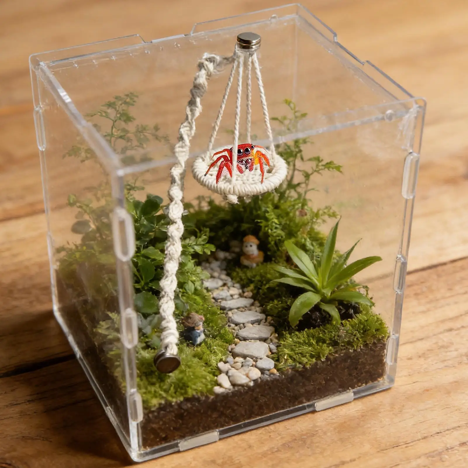 Hängbare Sprungspinnenbrücke, Kletterbrücke für Einsiedlerkrabben, Schaukeln, Sprungstange für Spinnen/Geckos, Kletterleiter, Habitat – Detail 3