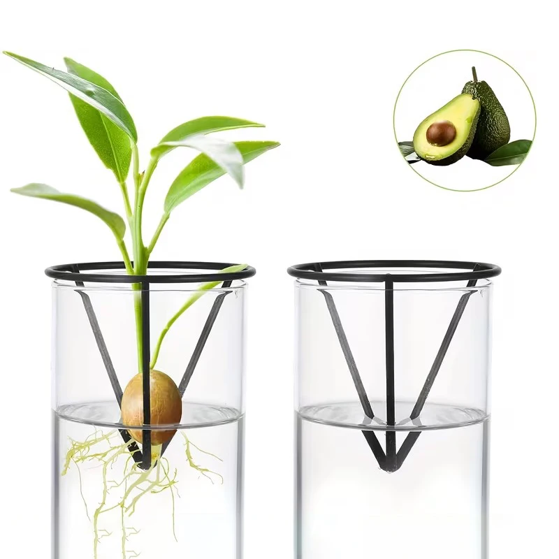 1/2/4pcs Avocado Seed Starter Vase Holders Avocado Seed Growing Triangle Metal Stand Carrots, Sweet Potatoes Growing Stand