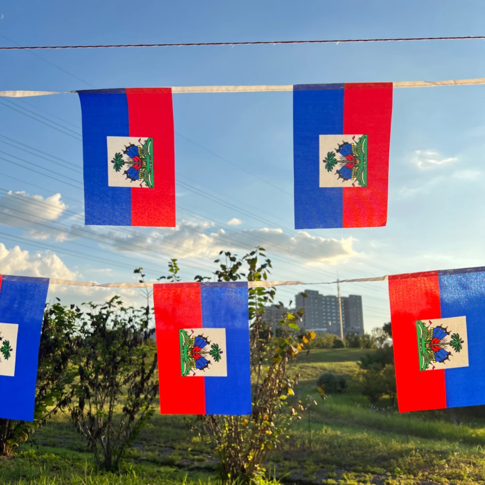 هايتي العلم 14x21cm20pcs/set، معلقة البوليستر الأزرق الأحمر 2 الجانبين المطبوعة العلم الوطني هايتي الرياضة راية #3