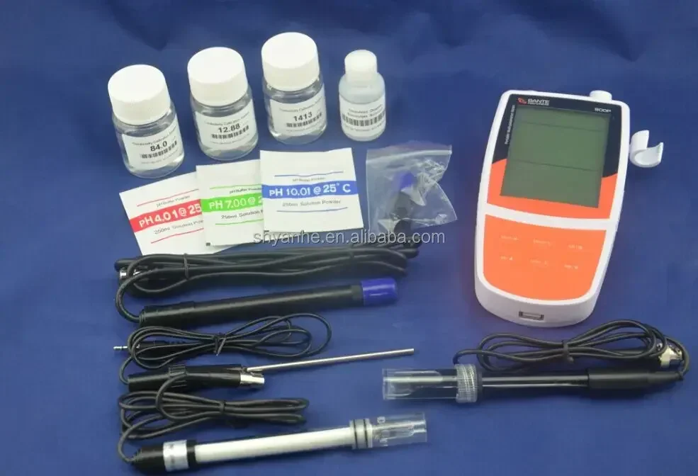 2025 Bante900P Port…