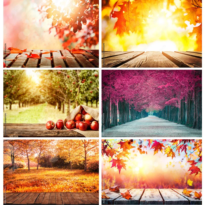 

ZHISUXI Natural Scenery Photography Background Fall Leaves Forest Landscape Travel Photo Backdrops Studio Props QQTT-06