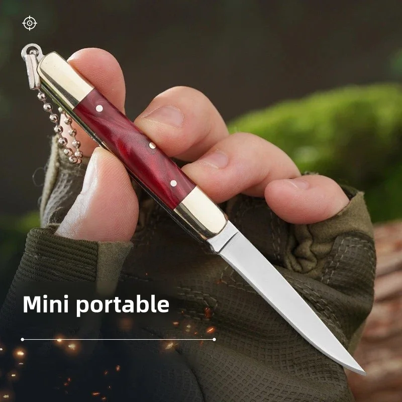 Mini Folding Knife Outdoor Exquisite Folding Knife Stainless Steel Household Fruit Knife Keychain Portable Camping Knife