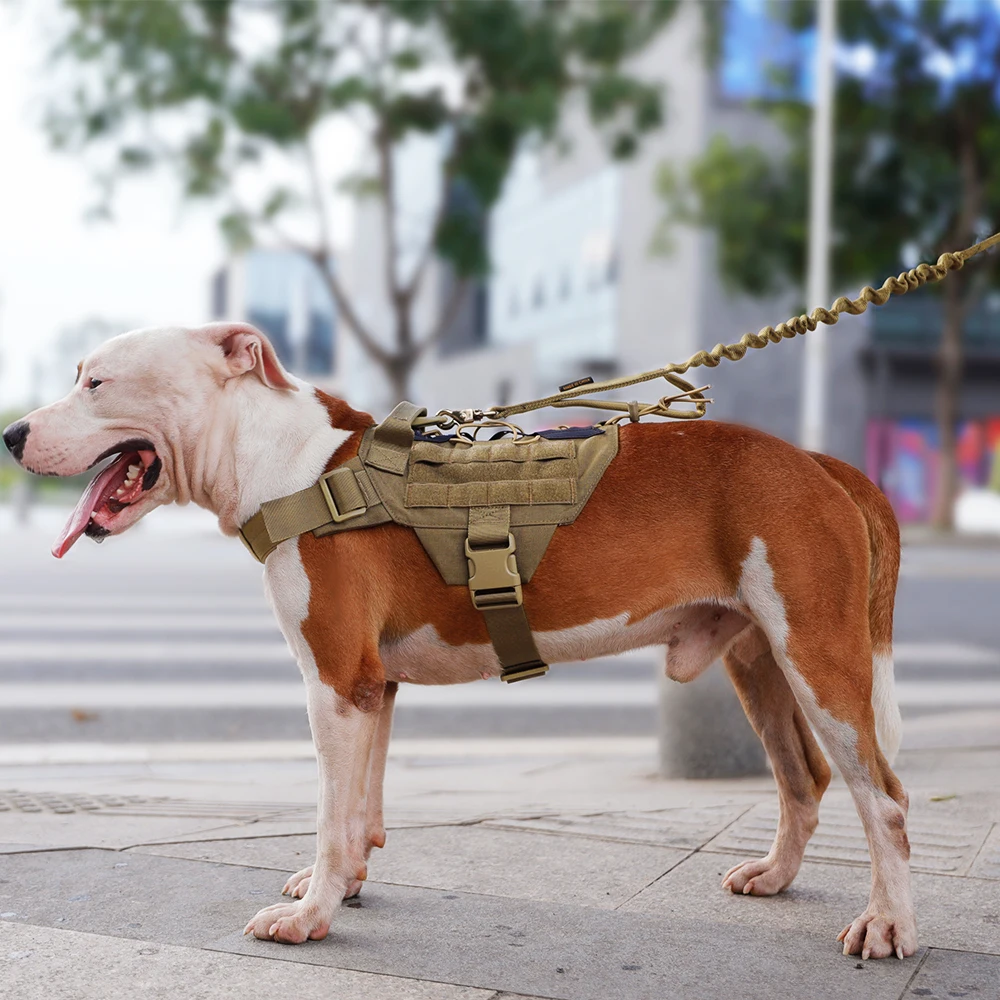 Imagem -06 - Excelente Elite Spanker Colete de Treinamento Tático para Cães Colete para Animais de Estimação da Polícia ou Cães Grandes Médios e Pequenos com Alça