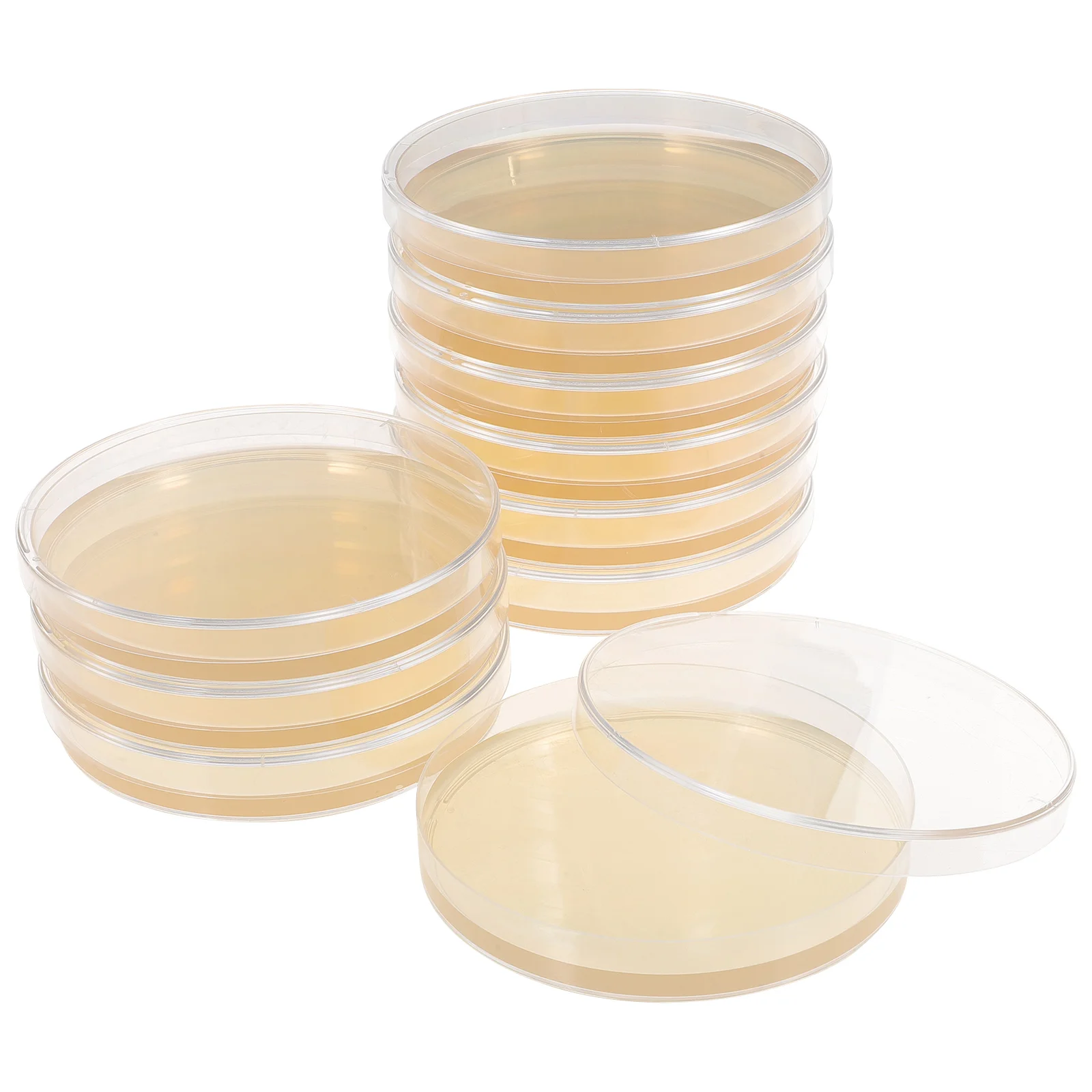 10 Pcs Nutrient Agar Plate Dish Test Tank Plates Toy Experiment Supplies Science Tissue Culture Prepoured Jelly