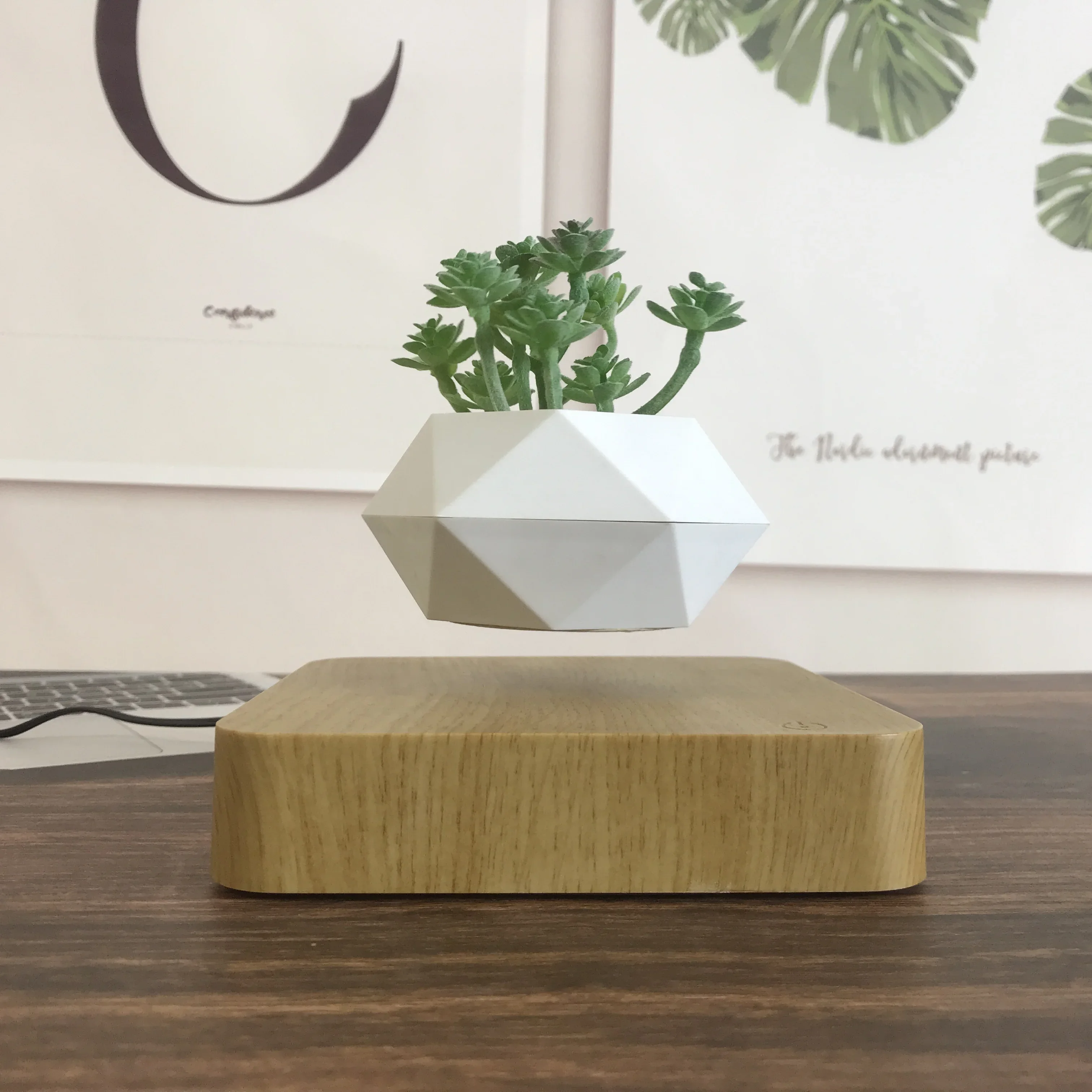 Levitating Plant Pot Rotating Floating Pot Creative and Unique Gifts Bonsai Potted Home Decoration