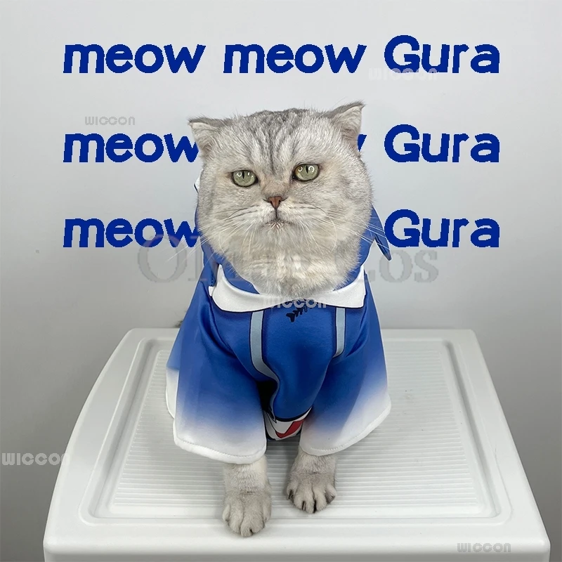 Hololive Vtuber Gawr Gura Cat Cosplay Pet Kitty Costume DOUJING Cute Kawaii Shark Cat Halloween Anime Cosplay Blue Set