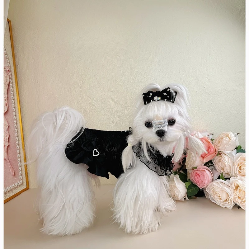 Ropa para perros pequeños: mono de encaje y falda de princesa