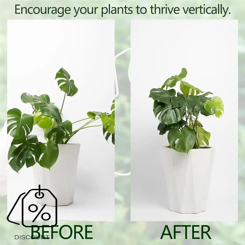 ABJO-Monstera Поддержка стебля 5 шт. Система поддержки растений для растений Monstera и черепахи-качественные зажимы для листьев