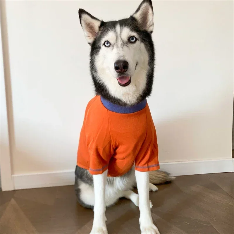 big-large-dog-t-shirt-poodle-schnauzer-corgi-bull-terrier-husky-labrador-american-bully-pitbull-dog-clothes-hoodie-pet-clothing