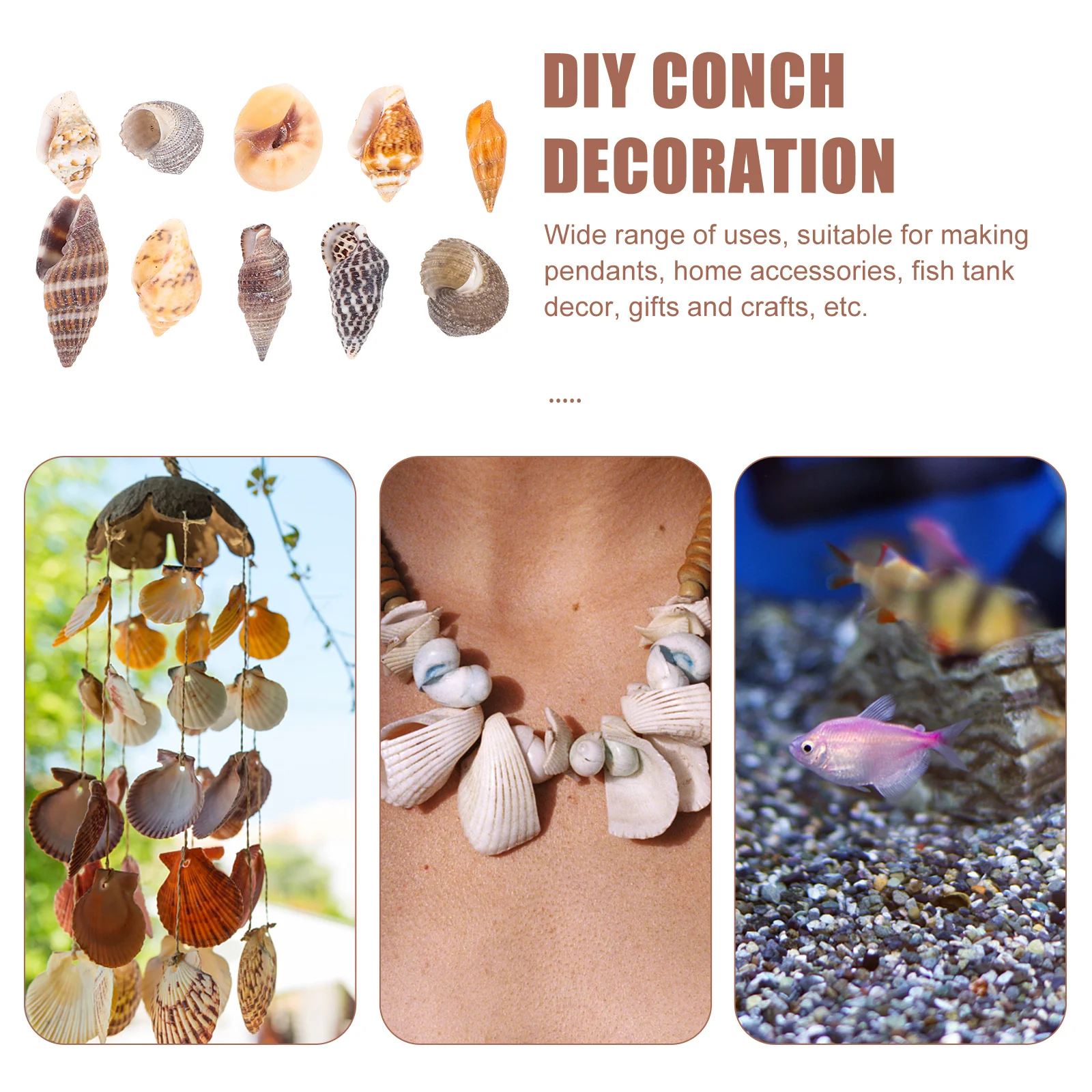 

1 Box Exquisite Conch Decorations for Handmade Pendant Home Accessories Fish Tank Landscape Craft Natural Sea Shell DIY Kit
