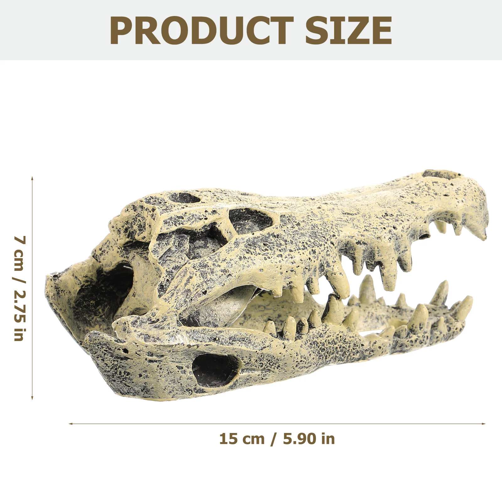 Resin Dinosaur Skull Decor Exquisite Desktop Decoration for Home Office Garden Lifelike Dinosaur Skull Ornament