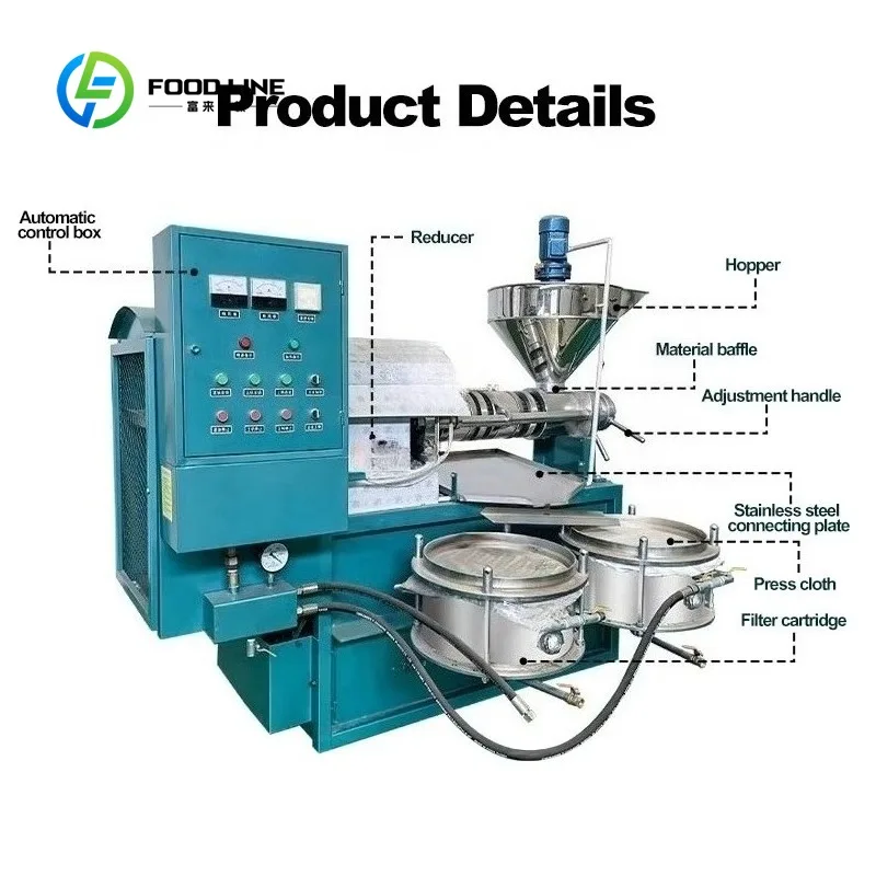 Custom Commercial Oil Press Machine with Heating System for Sesame Peanut Walnut 380V 60-80kg/h Automatic Temperature Regulation