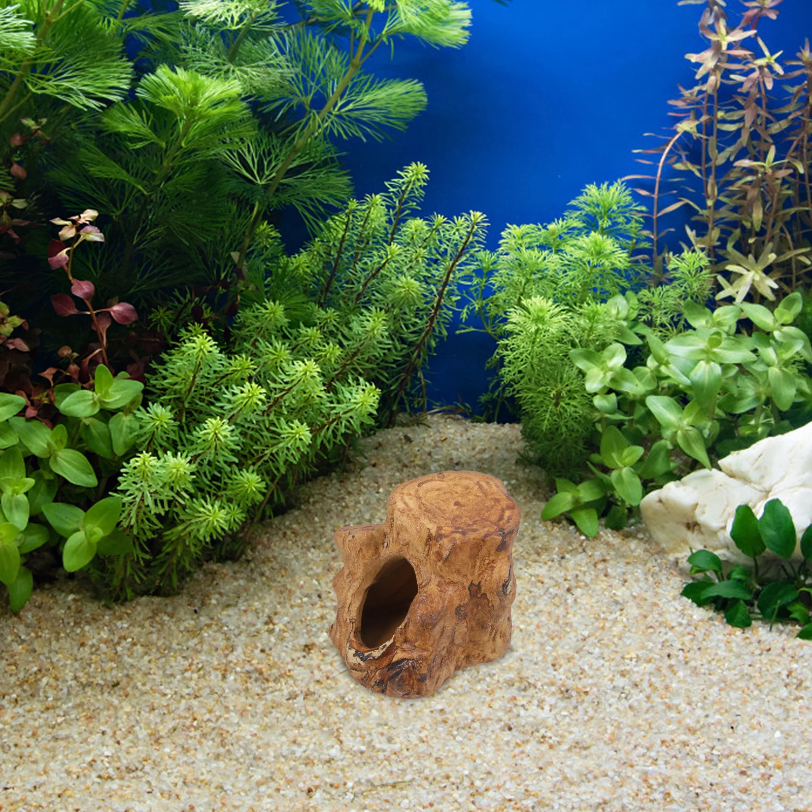 

Pleco Caves Fish Tank Hide Ceramic Aquarium Decorations Natural Shrimp Shelter Betta Fish Hideout Breeding Cave Reptile Hideaway