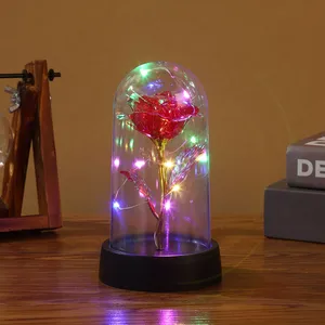 LED Enchanted Galaxy Rose mit Feenlichtern, ewige Schönheit, Valentinstag, Hochzeitsfeier, Muttertag, heiß, 1PC 10 Hauptresanzverkäufe für Frauen - №3