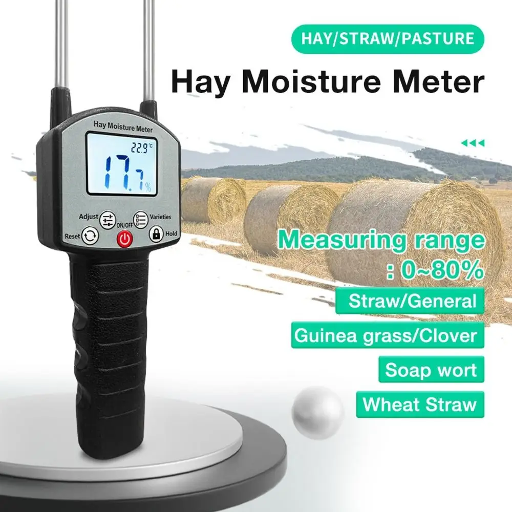 With Probe Portable…