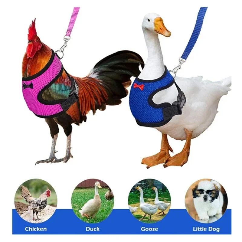 Pet Duck Chicken Poultry Chicken Clothes Chicken Vest Hen Belt Pet Harness Matching Collars Bow Poultry Supplies Hamster Clothes