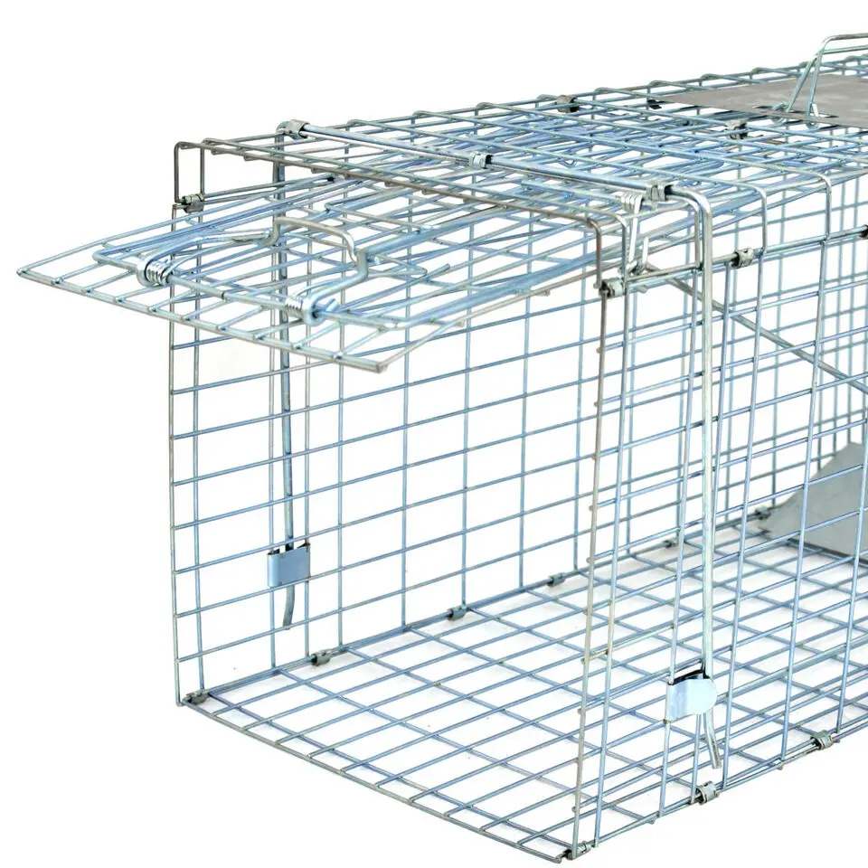 Humane Small Live Animal Trap Control gabbia in acciaio 32 "x 12.5" x 12 "Raccoon Skunk Cat