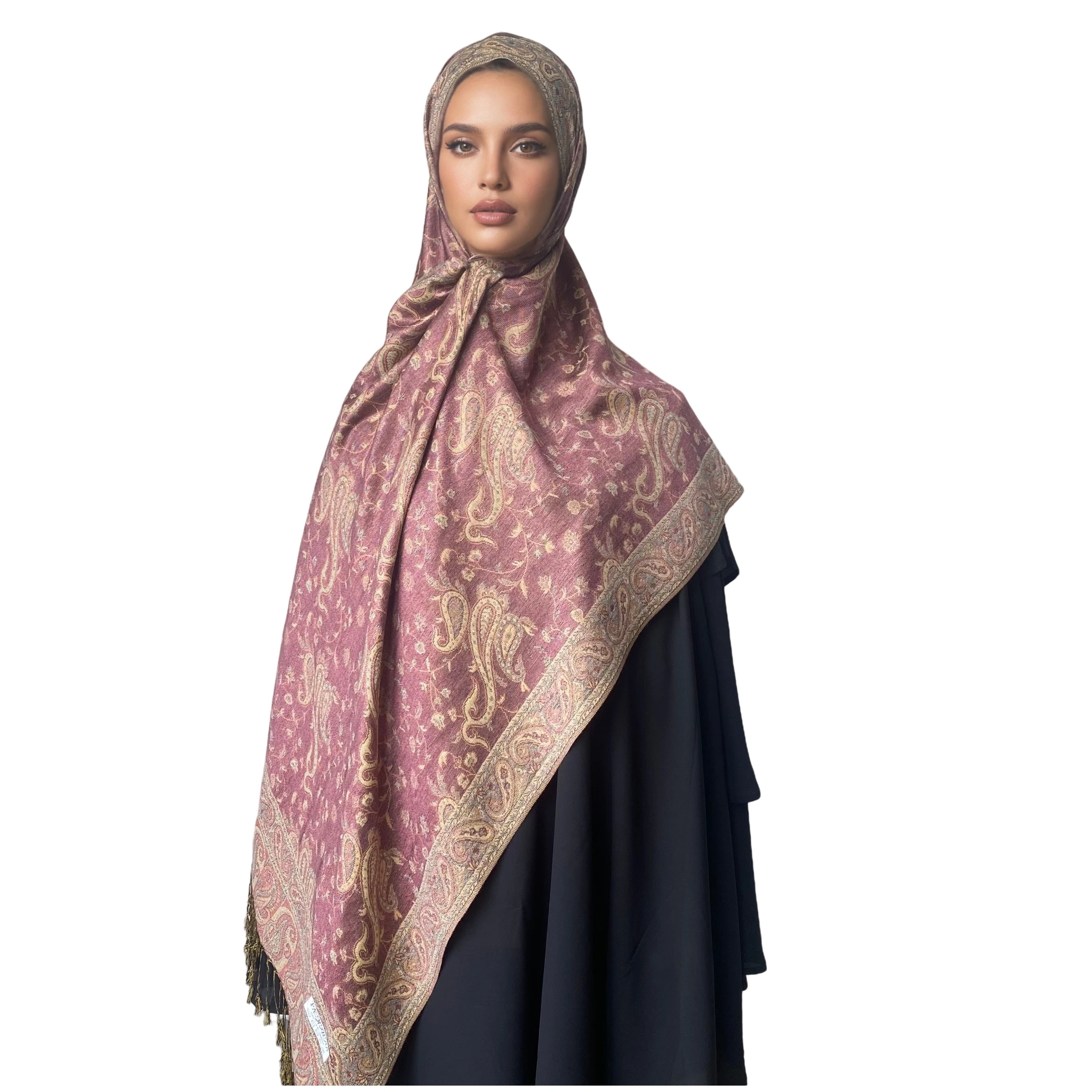 Jacquard Design de mode longue printemps écharpe Pashmina glands femmes décontracté hiver foulards dames Hijabs Paisley châles