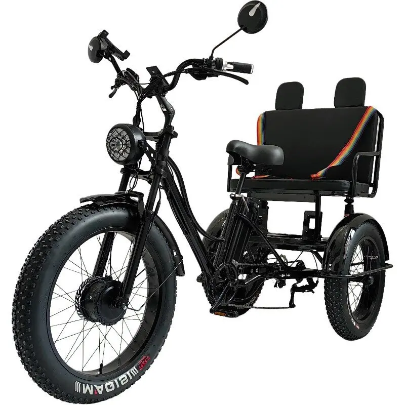 

3 Wheel Electric Bike For Adults 750W 48V Powerful Electric Bicycle Mountain Removable Lithium Battery With Passenger Seat