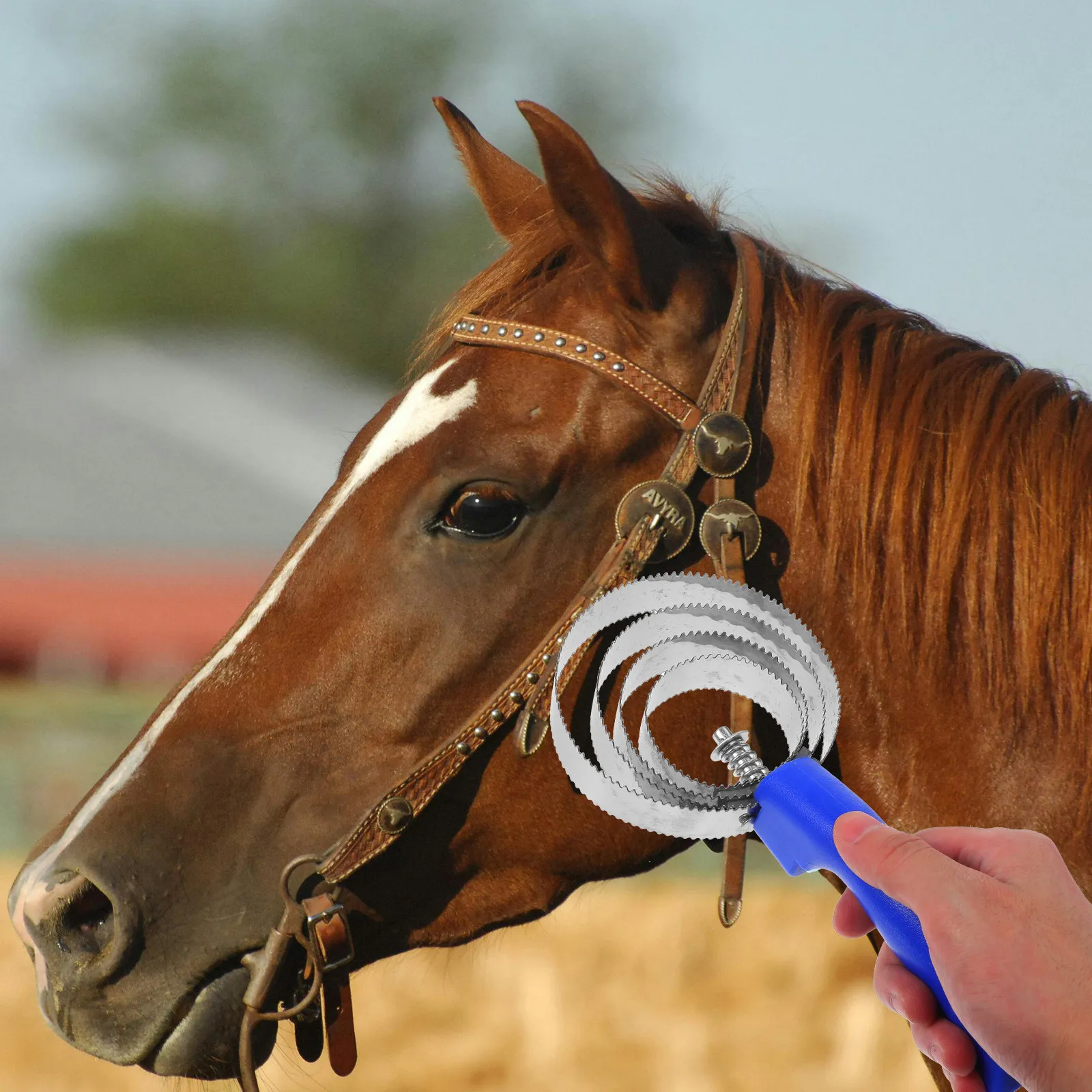 2-pecas-escova-de-aco-inoxidavel-para-remocao-de-pelos-de-cavalo-facil-de-segurar-raspador-de-higiene-para-gado-ferramentas-de-limpeza-de-cavalos-higiene-de-gado