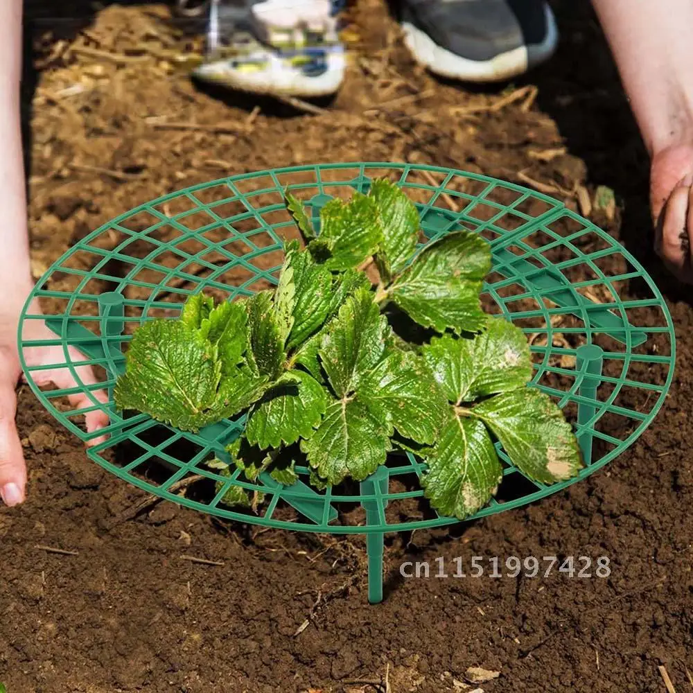 5/10/15/20 PC Stand Holder Frame Strawberry Balcony Planting Rack Fruit Support Flower Climbing Vine Pillar Gardening Stand