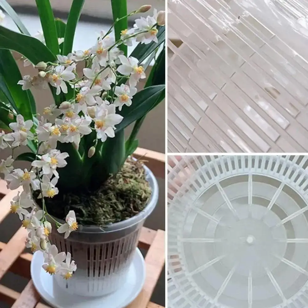 Orchid Flower Pot Clear Orchid Pot with Drainage Holes Raised Bottom Breathable Slotted Plant Pot for Repotting Outdoor Use