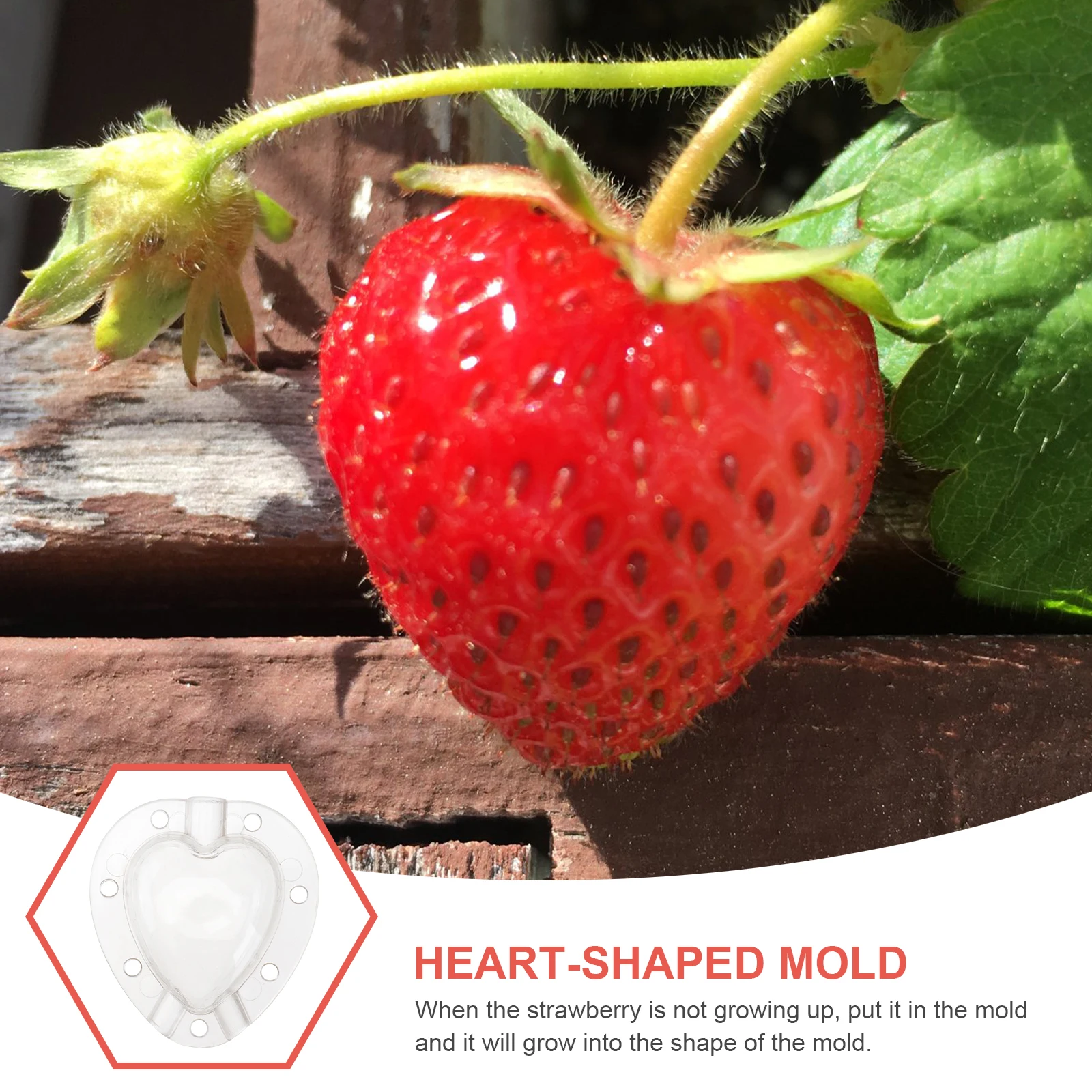 

5Pcs Heart-Shaped Fruit Growth Mold Clear Safe Garden Shaping Tool for Growing Custom Vegetables and Fruits Fruit Growing Molds