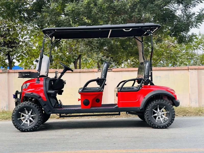 بيع المصنع مباشرة الكهربائية أفضل عربة عربات الغولف #4