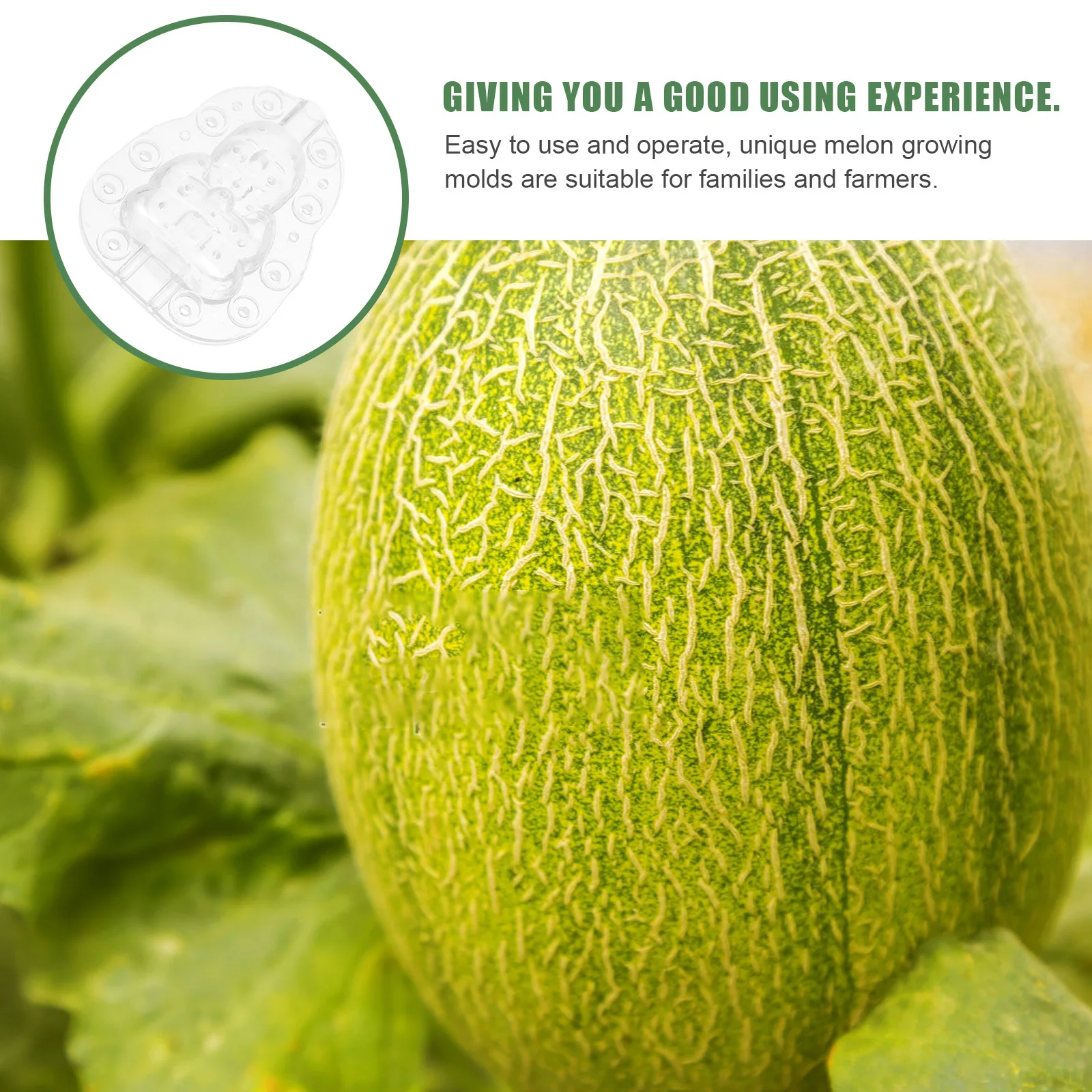 

3Pcs Fruit Growing Molds Transparent Shaping Mold for Melon Ginseng Vegetable DIY Garden Tool Creative Reusable Plastic Forming