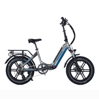 JOBOBIKE Romer Adult Electric Bike 250W Electrical Road Bicycle 48V 15Ah Fatbike MTB E-bike 20 inches Mountain Ebike 25km/h