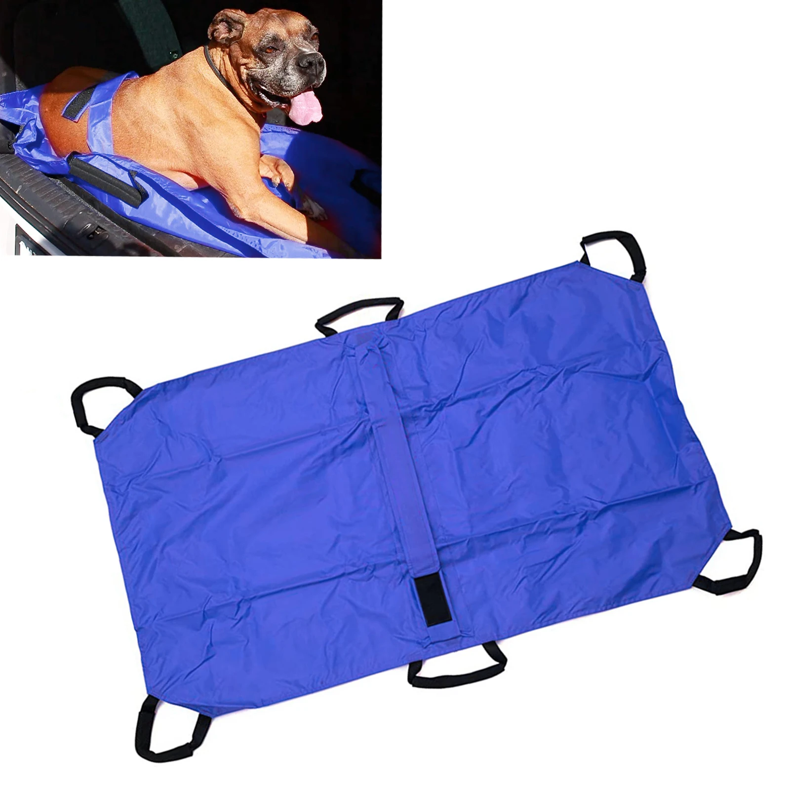 Pet Stretcher Emergency Transport Stretcher for Dogs and Other Animals Dog Cat Carrier with Safety Strap Nylon 6 Handles Blue