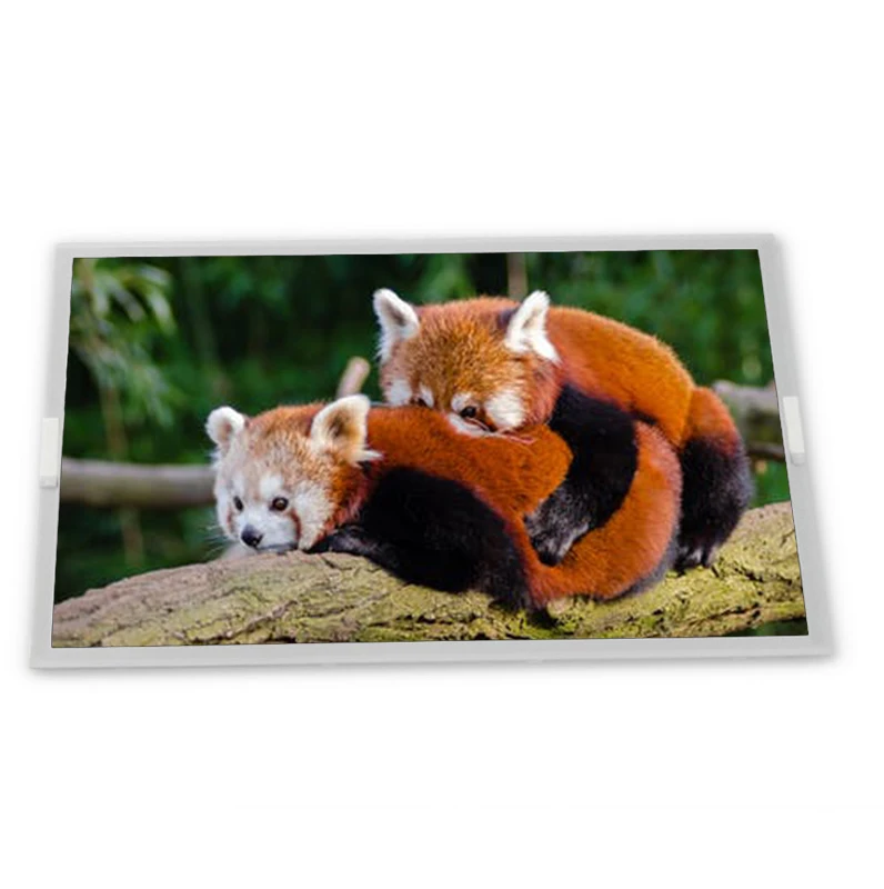 G121X1-L04 1024*768 12.1 industry tft LCD Display Panel Zhiyan supply