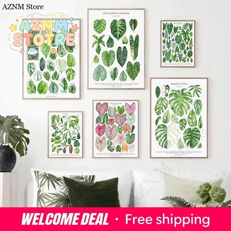 Classic Plants Leaves Hoya Caladium Monstera Nature Botanical Guide Poster Canvas Painting Wall Art Pictures Home Decor