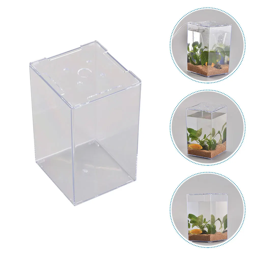 

Decorative Fish Tank Small Acrylic Aquarium for Betta Fish Desktop Home Office Table Centerpiece Unique Decor Idea