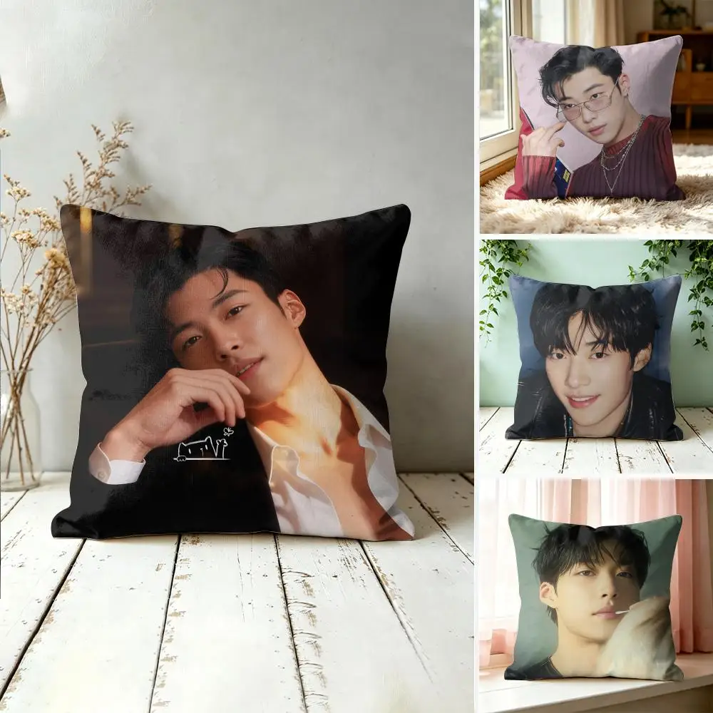 Woo Do H-Hwan Cushion Cover Square Short Plush Pillow Case Living Room Sofa Home Decor Funda 40X40