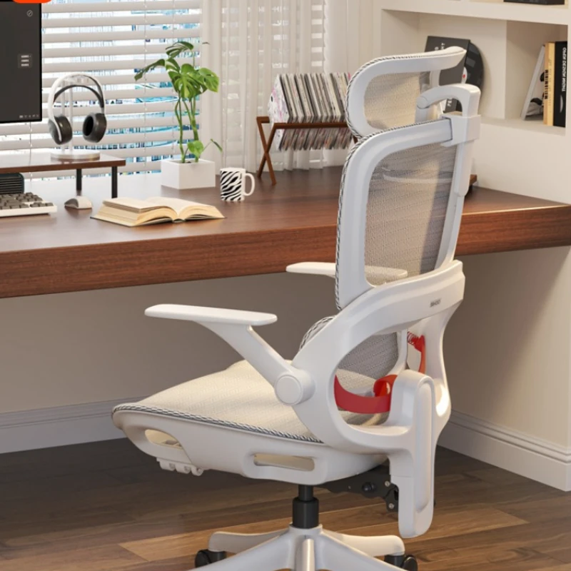 

Ergonomic chair Computer chair Home sedentary office chair Back