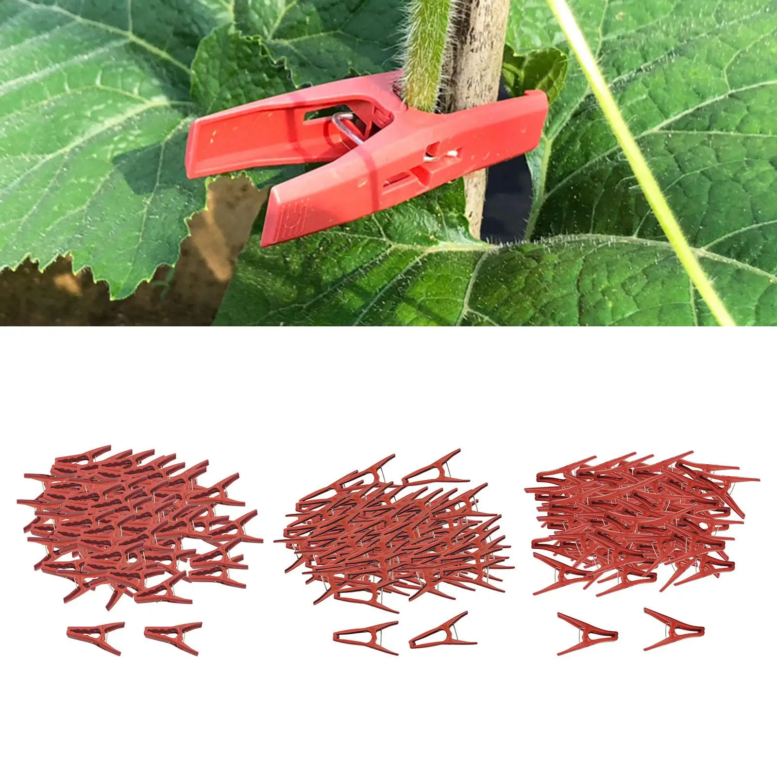 

100Pcs Plant Support Clips Plant Growth Clamp Multipurpose Practical Garden Vines Fixing Clips for Peppers Grape Vine Outdoor
