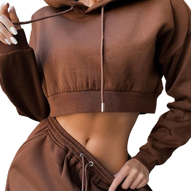 Tracksuit Women Two Piece Set Casual Sport Outfits Hoodies Sweatshirt+Sweatpants Jogger Pants Spring Autumn Sportswear 2022