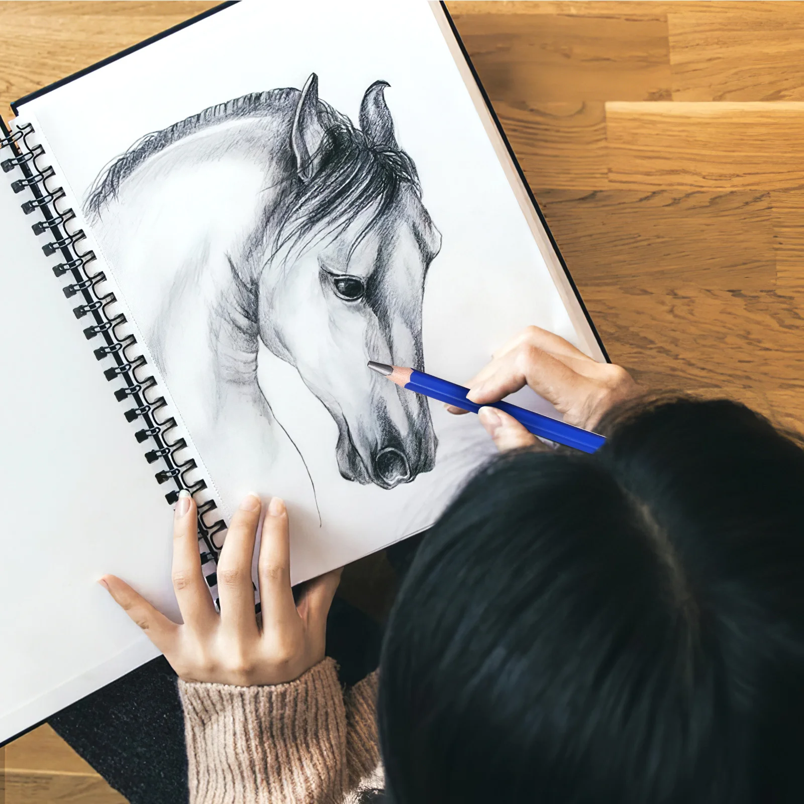 

1Set Drawing Sketch Pencils Set for Artists Students Beginners Includes Erasers Pencil Sharpeners Sketch Pencils for Shading