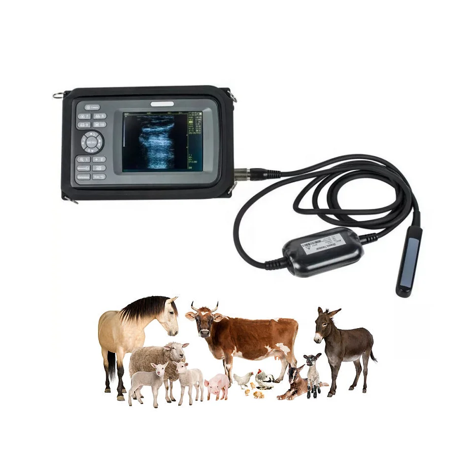 

Low Price Handheld Portable Veterinary Ultrasound Scanner Farm Use Veterinary Equipment Bovine Equid Goat Pig Ultrasound Machine