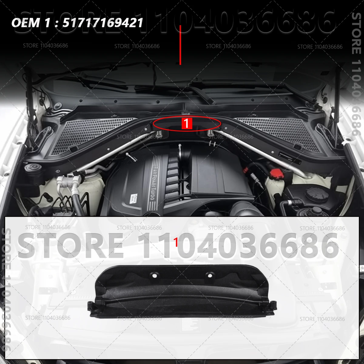 Variant: 1-51717169421