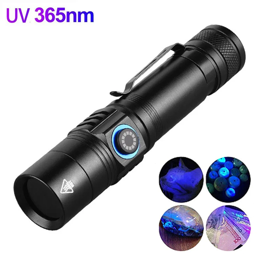 Lanterna ultravioletta Potente torcia a LED 365nm Torcia a luce UV USB ricaricabile Luce nera per l'ispezione delle macchie di urina degli animali domestici