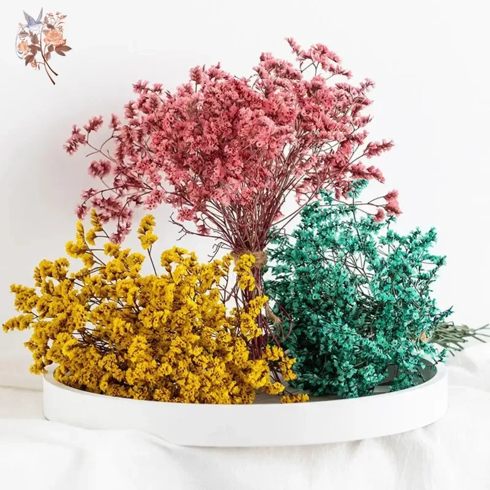 الطبيعية المحفوظة كريستال العشب الملونة المجففة زهرة باقة الزفاف ديكور الأبدية عاشق الزهور البوهيمي ديكور المنزل DIY بها بنفسك