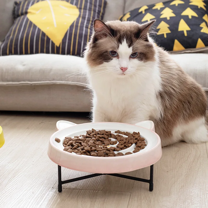

Slow Feeding Ceramic Bowl Anti Choke Design Pet Feeder For Cat Puppy Dog