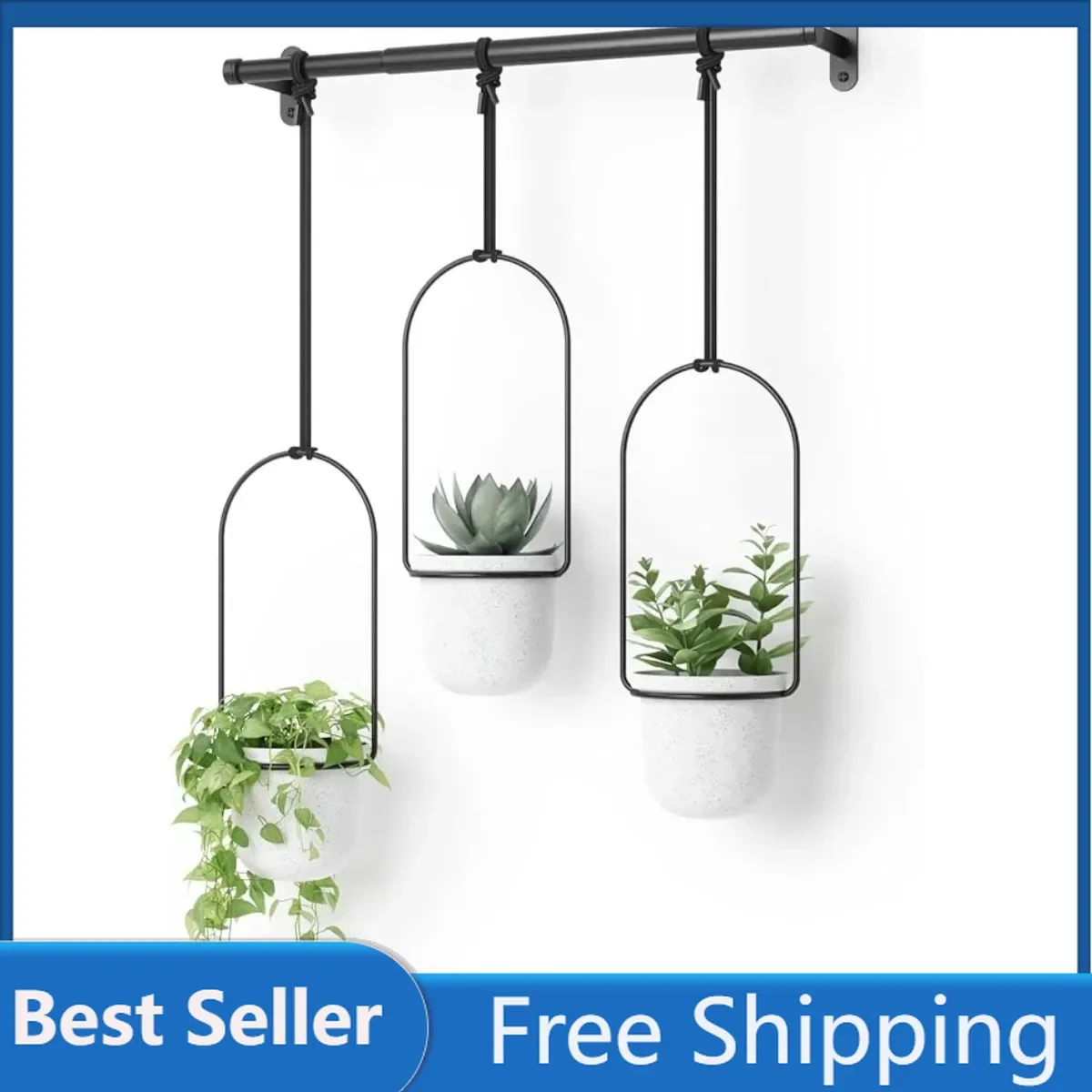 

Triflora Hanging Planter for Window, Indoor Herb Garden, Set of 3, White/Black