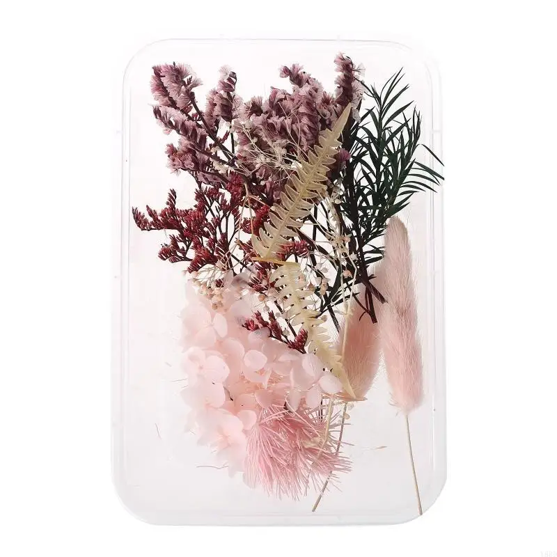 Y88D 1 Caja Real Mix Flores secas para aromaterapia Joyas resina vela Plantas secas Flores prensado Flower Diy Accesor