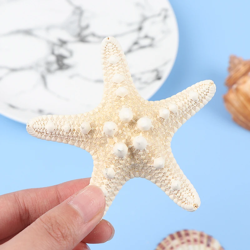 1pcs Starfish Crafts Decor Starfish DIY Shell Sea Fish Party Beige Starfish Decor