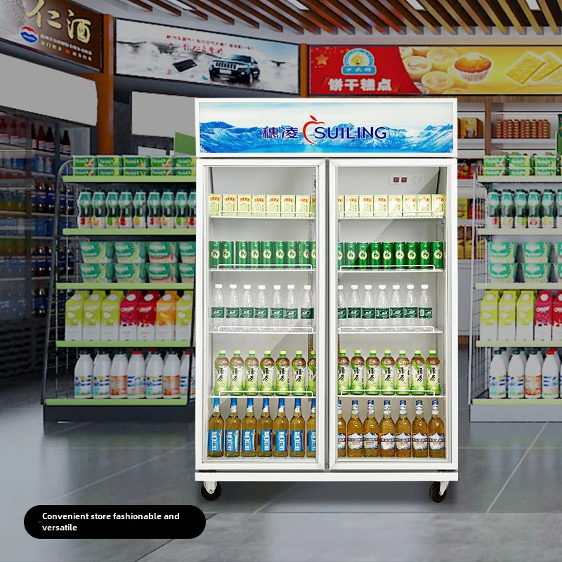 SGF freezer double door beverage refrigeration display freezer refrigerator preservation