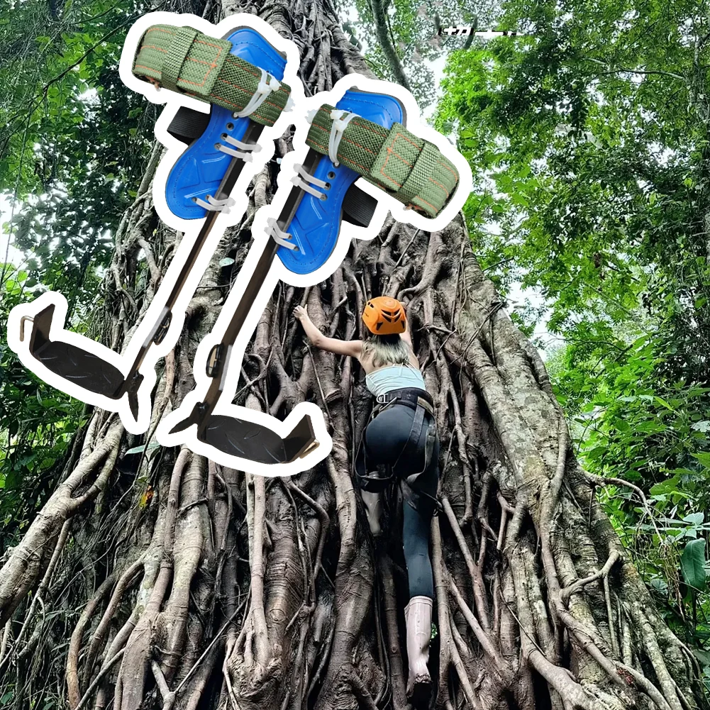 1Pair Tree Climbing Spikes Kit 350lbs Load Capacity Adjustable Stainless Steel Gear with Anti-Slip Pedals for Fruit Picking Tree