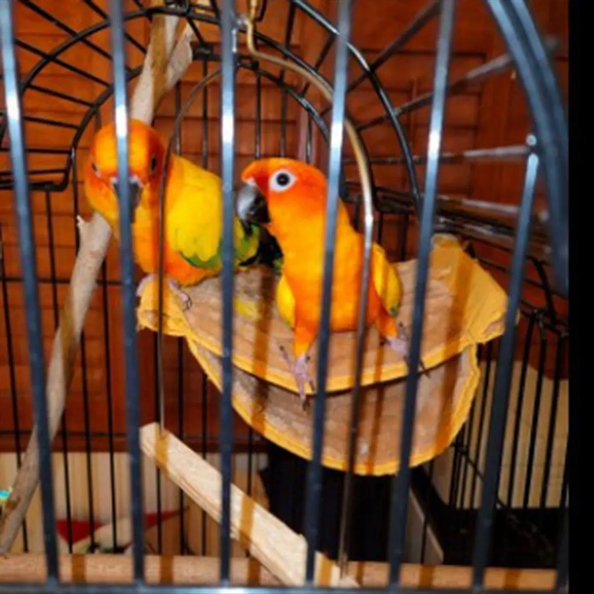 ABNH Winter Warm Bird Nest House Shed Hut Hanging Hammock Cage Plush Birds Hut Hideaway for Parrot Bird Cage L